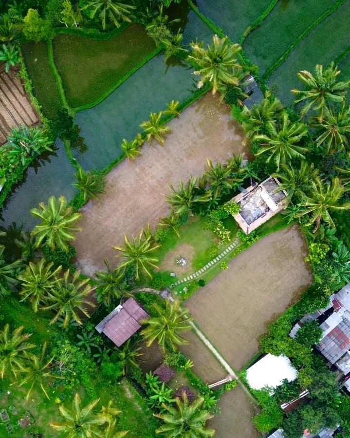 Mu Homestay Tetebatu Luaran gambar